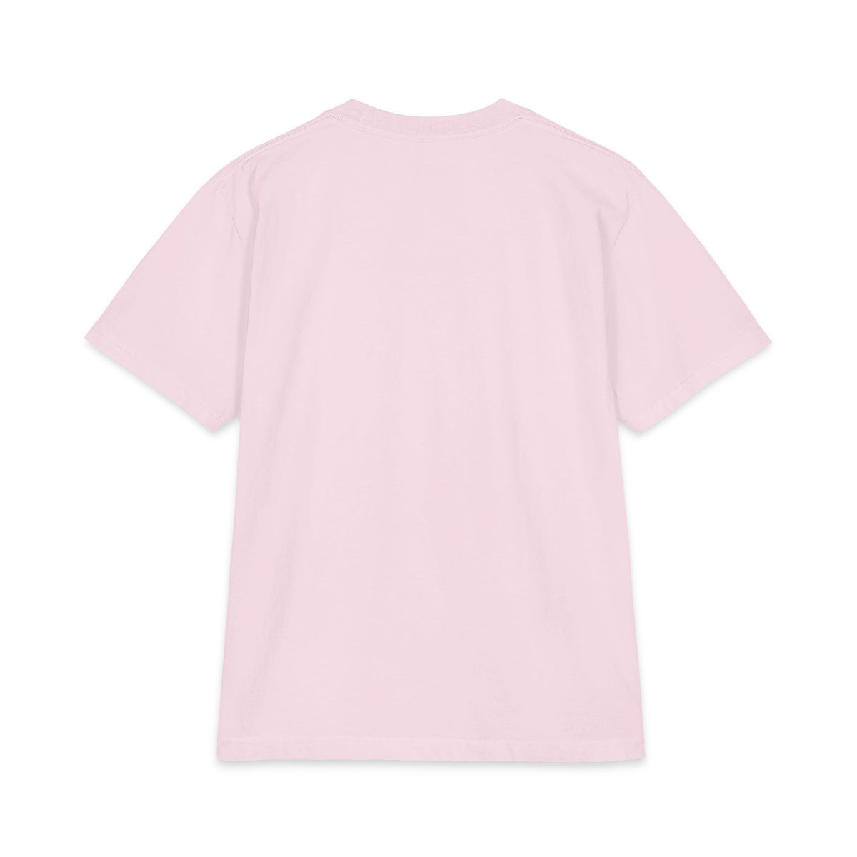 Classic T-Shirt — Theologische Hochschule Friedensau – Mehr als nur ein Studium