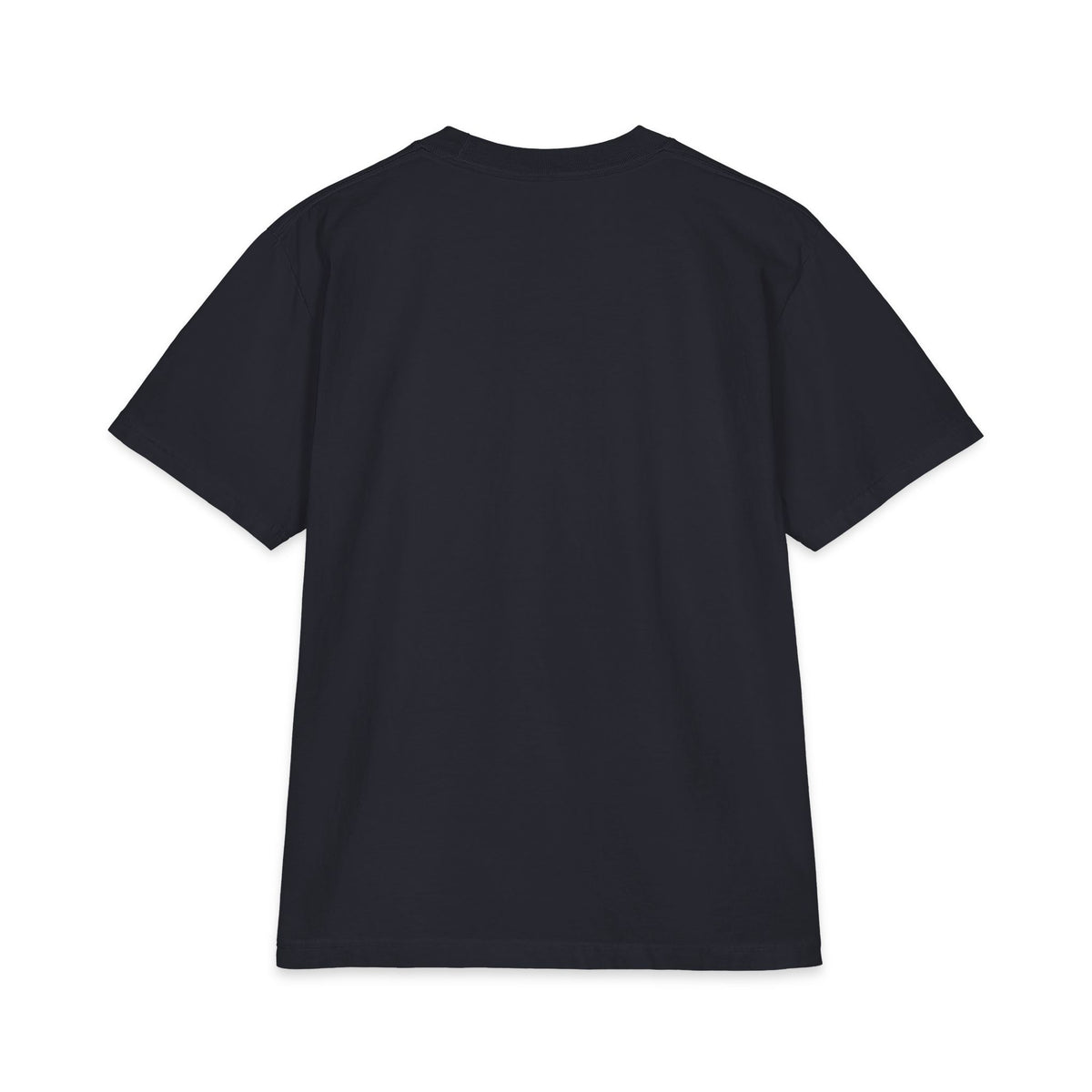 Classic T-Shirt — Theologische Hochschule Friedensau – Mehr als nur ein Studium