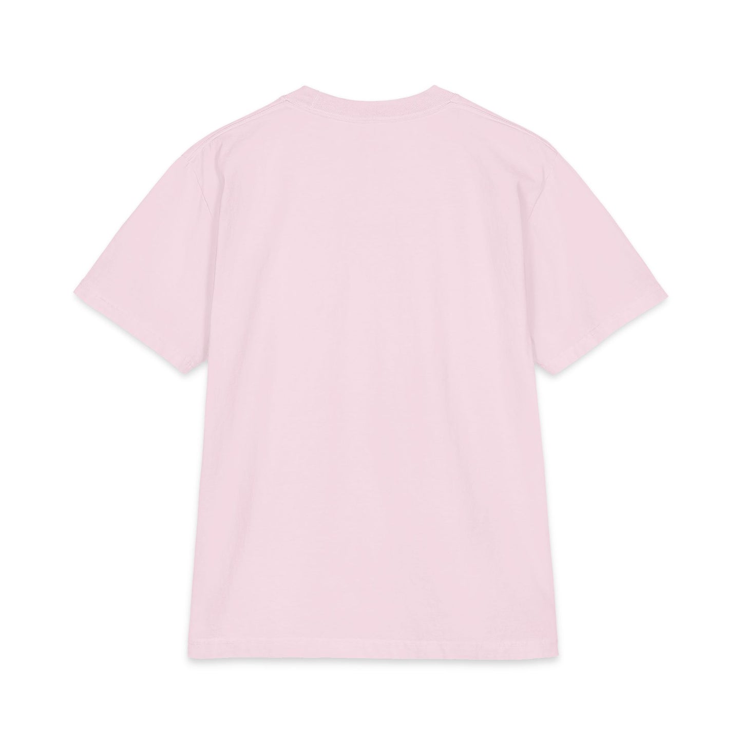 Classic T-Shirt — Theologische Hochschule Friedensau – Mehr als nur ein Studium
