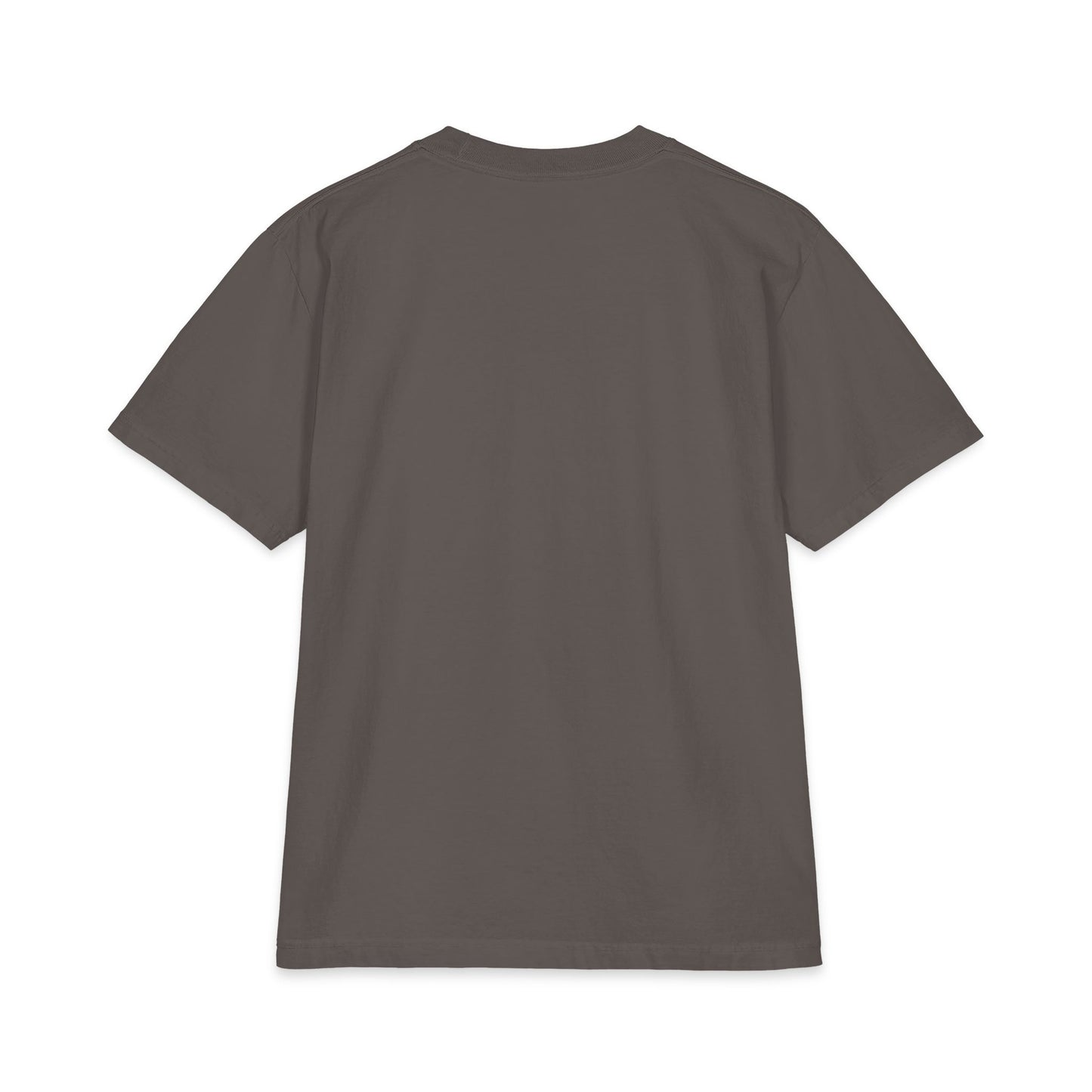 Classic T-Shirt — Theologische Hochschule Friedensau – Mehr als nur ein Studium