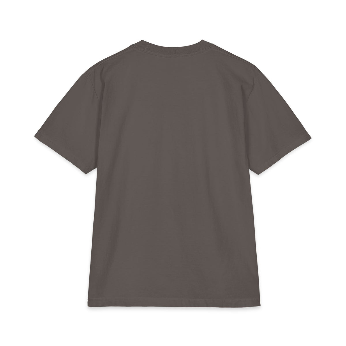 Classic T-Shirt — Theologische Hochschule Friedensau – Mehr als nur ein Studium